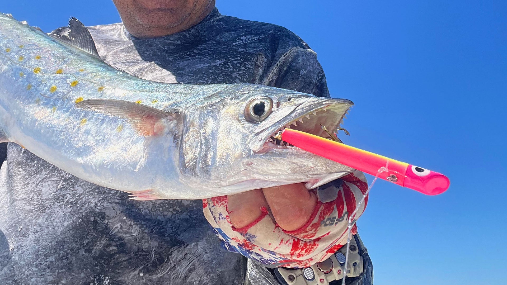 Spanish mackerel caught on electric chicken Got-cha plug